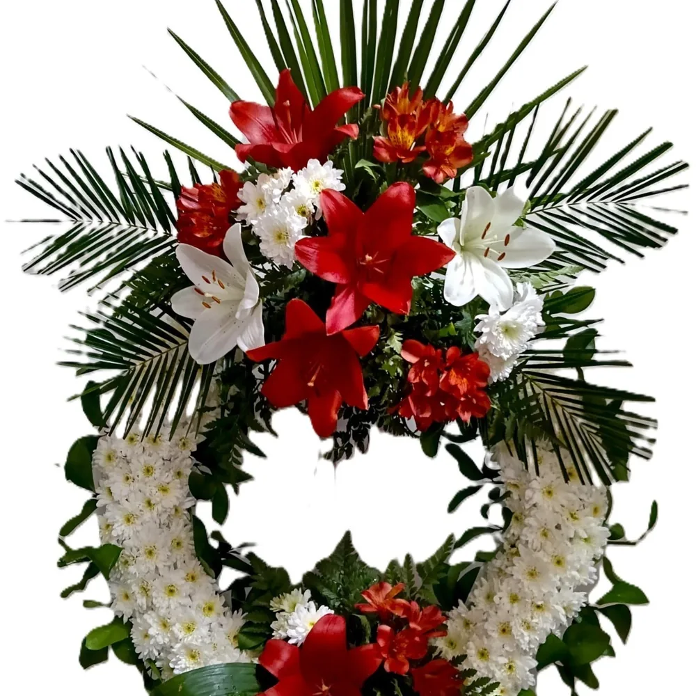 Corona de doble cabezal, flor variada, aro de clavel o crisantemo
