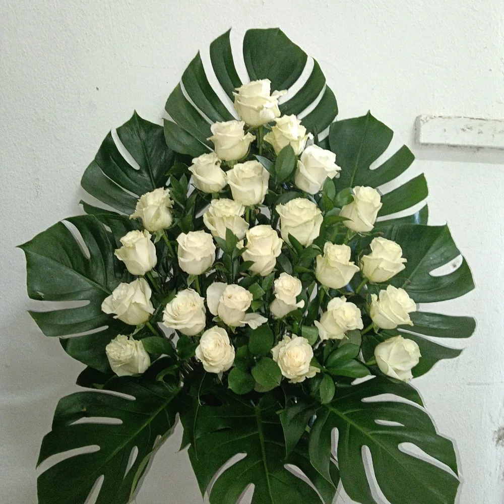 Centro de una cara, rosas, rosas